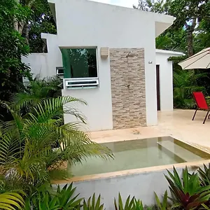 https://villa-ixchel-private-pool.tulum-hotels.net