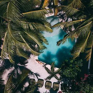 https://zorba-tulum-beach-homes.tulum-hotels.net